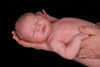 Infant